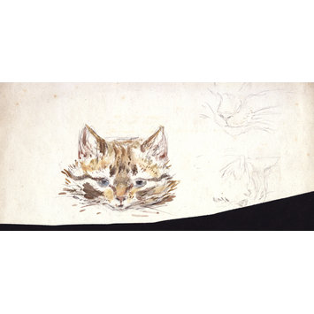 drawing - Studies of a cat drawing - Studies of a cat