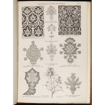 - Araceenformen in der Flora des Ornaments - Araceenformen in der Flora des Ornaments