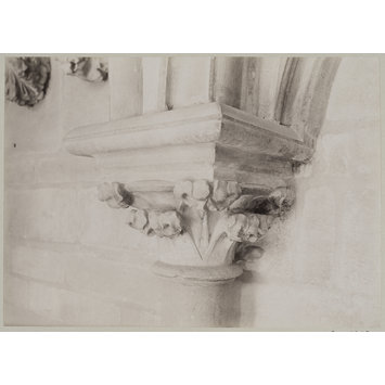 photograph photograph