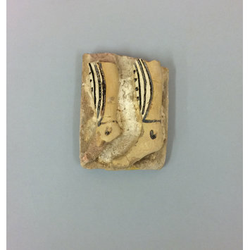 Fragment Fragment