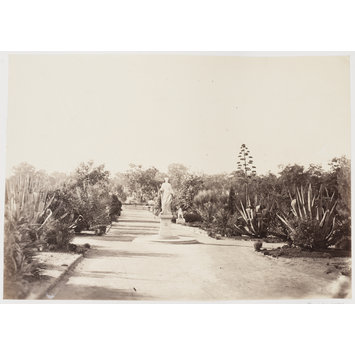 Photograph Photograph