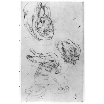 drawing drawing