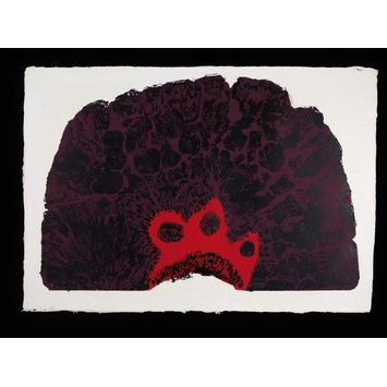 print - Purple Coral print - Purple Coral