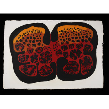 print - Embryo print - Embryo