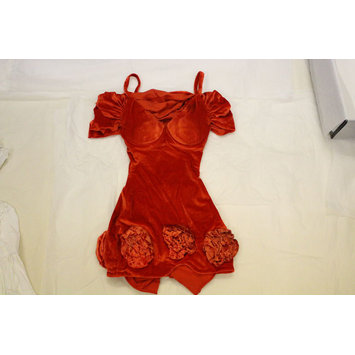Costume - Red velvet dress worn by Cat Glover on the Lovesexy tour Costume - Red velvet dress worn by Cat Glover on the Lovesexy tour