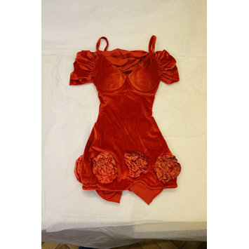 costume - Red velvet dress worn by Cat Glover on the Lovesexy tour costume - Red velvet dress worn by Cat Glover on the Lovesexy tour