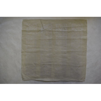 Napkin Napkin