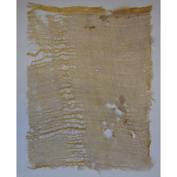 Woven silk Woven silk