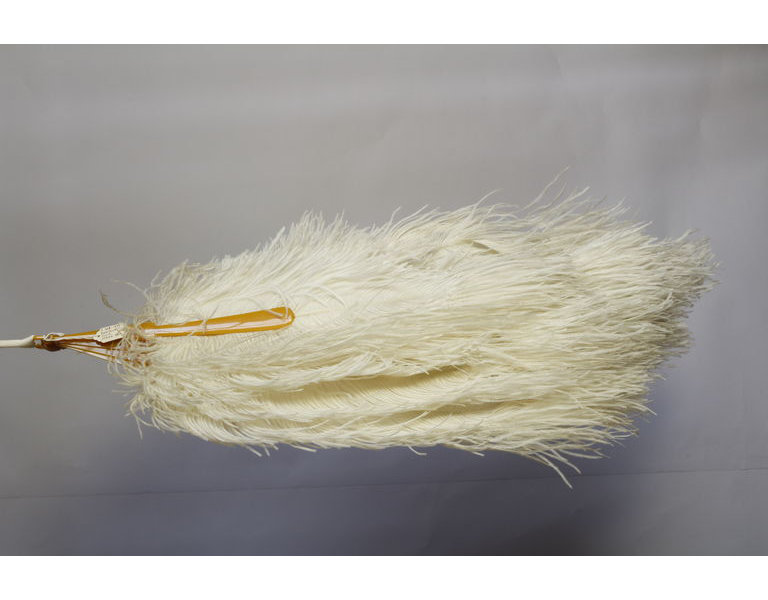 used ostrich feathers