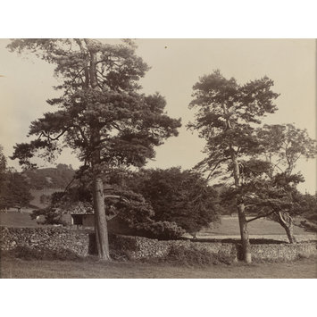 photograph - View from Eeswyke, Near Sawrey photograph - View from Eeswyke, Near Sawrey