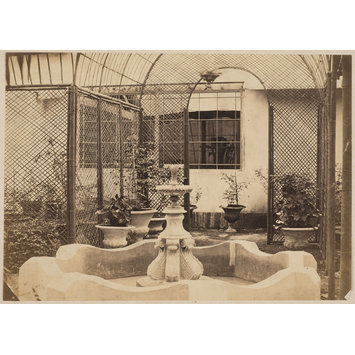 photograph photograph