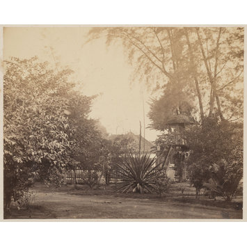 photograph photograph