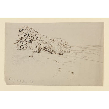 drawing - Moorland and trees, Gwaynynog drawing - Moorland and trees, Gwaynynog