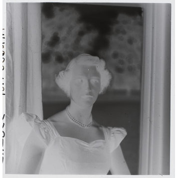 photographic negative photographic negative