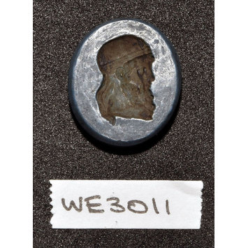 Seal Seal