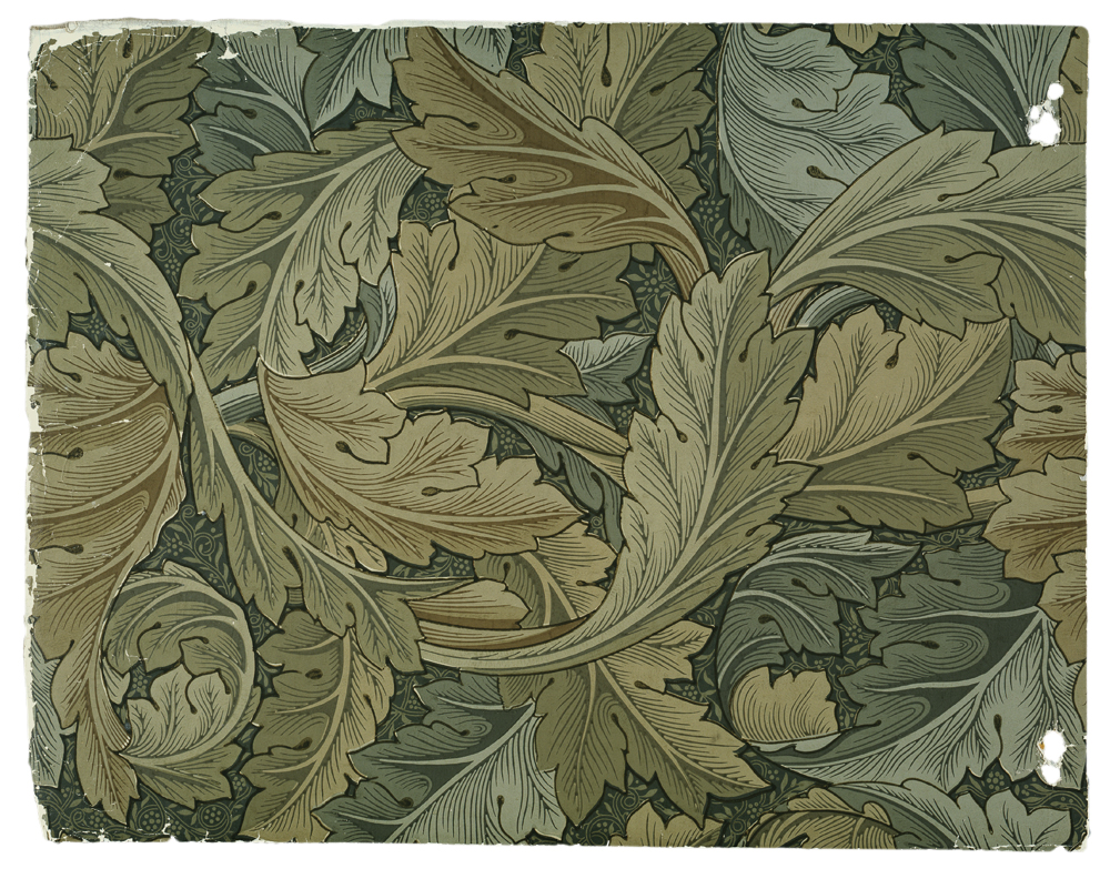 Tiffany Baxter Illustration: Design 2 - William Morris